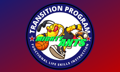  Transition Program Logo